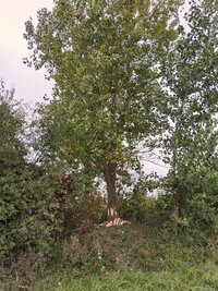 20251006_130407.jpg