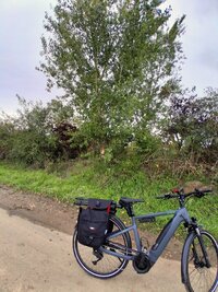 20251006_130557.jpg