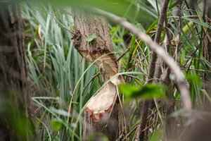 IMG_0057.JPG