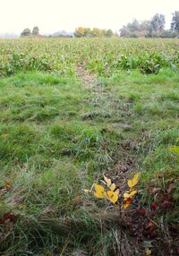 IMG_0199.JPG
