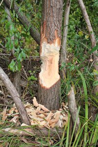 IMG_0364.JPG