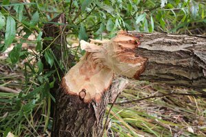 IMG_0365.JPG