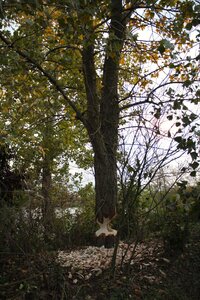 IMG_0402.JPG