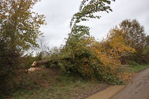 IMG_0424.JPG