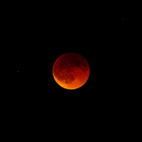 DSC07622_lapl4_ap50.png