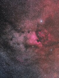 IMG_8802.jpeg