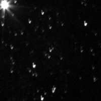 2b-ohne MGEN_Y6A7267.jpg