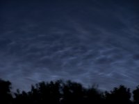 100_2931.JPG