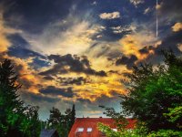 1EEABFF6-B533-4349-A986-B8198D0DF7CA.jpeg