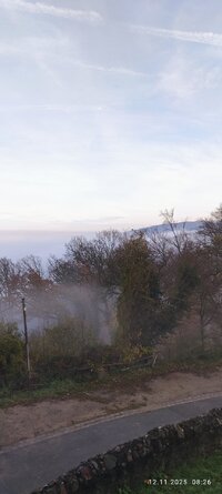 IMG_20251112_095832.jpg