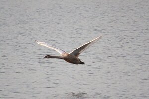 IMG_0729.JPG