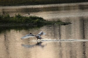 IMG_0732.JPG