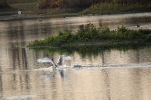 IMG_0734.JPG
