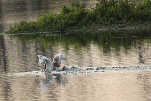 IMG_0735.JPG