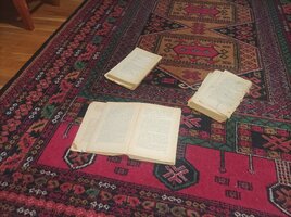 IMG_20251119_185455.jpg