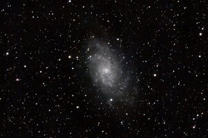 IMG_3847.jpeg