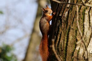 IMG_0225.JPG