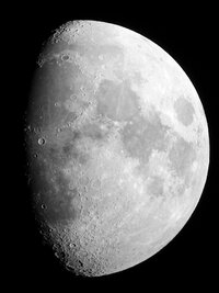 09_Tage_Mond_01_23_04_10_F.jpg