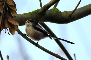 IMG_0795.JPG
