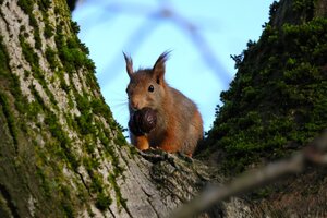 IMG_0831.JPG