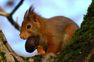 IMG_0847.JPG