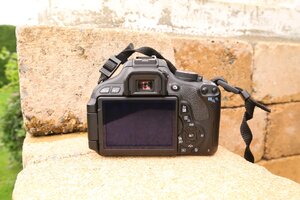 IMG_8966.JPG