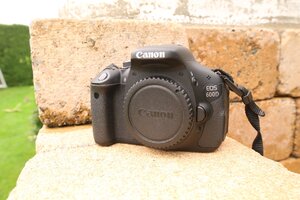 IMG_8970.JPG
