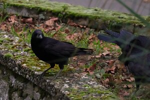 IMG_1044.JPG