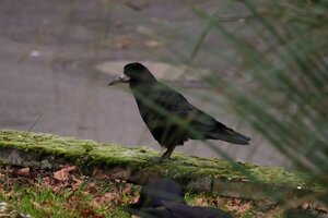 IMG_1047.JPG