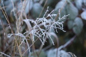 IMG_0066.JPG