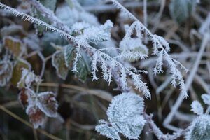 IMG_0064.JPG