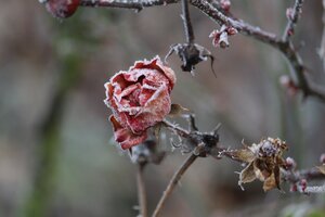 IMG_0057.JPG