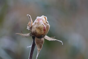 IMG_0052.JPG