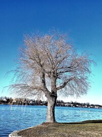 AzurHimmel291225.jpg