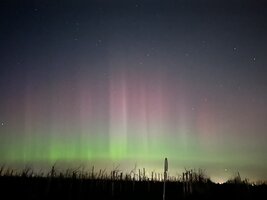 IMG_9030.jpeg