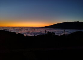 IMG_20190728_213255_1.jpg