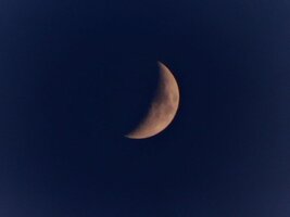 IMG_20260124_171103.jpg
