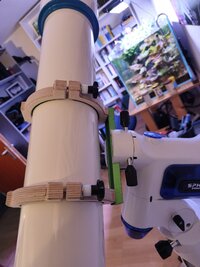 MVIMG_20260129_155300.jpg