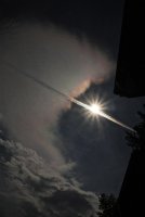IMG_6528.jpg