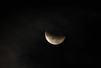 P7165899 (2).JPG