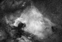 ngc7000superneuweb_2.jpg