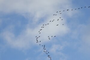IMG_1473.JPG