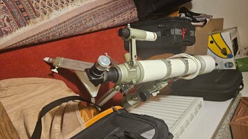 Vixen 1.jpg