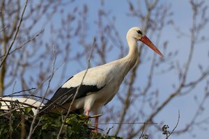 IMG_1542.JPG