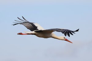 IMG_1549.JPG
