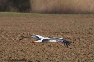 IMG_1554.JPG