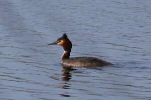 IMG_1578.JPG
