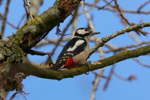IMG_1583.JPG