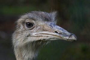 IMG_1610.JPG