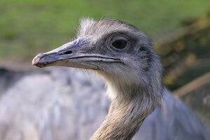 IMG_1612.JPG
